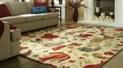 Як позбутися від бліх на килим і палац